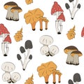 Mushrooms seamless pattern. Fall illustration of mushrooms on grey background. Easy for design fabric, textile, print