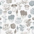 Mushrooms seamless pattern. Vector hand drawn illustrations. Mushroom in retro style. Autumn food background Royalty Free Stock Photo