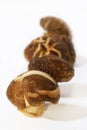 Mushrooms Series 03 Royalty Free Stock Photo