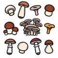 Mushrooms set. Collection icon mushroom. Vector