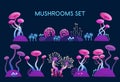 Mushrooms Set. Fantasy mushrooms and magical plants. Illustration of space. Details for games and mobile applications