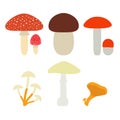 Mushrooms set