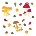 Mushrooms set on the white background. Vector Royalty Free Stock Photo