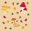 Mushrooms set on the yelloy background. Vector Royalty Free Stock Photo