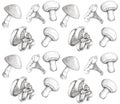 Mushrooms sketch pattern.