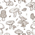 Mushrooms sketch seamless pattern. Vector edible illustration