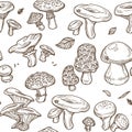 Mushrooms sketch seamless pattern. Vector edible illustration