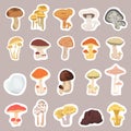 Mushrooms stickers set.