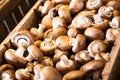 Mushrooms in store Royalty Free Stock Photo