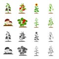 Mushrooms, strawberries, corn, cucumber.Plant set collection icons in cartoon,monochrome style vector symbol stock Royalty Free Stock Photo