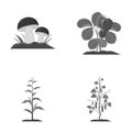 Mushrooms, strawberries, corn, cucumber.Plant set collection icons in monochrome style vector symbol stock illustration Royalty Free Stock Photo