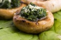 Mushrooms stuffed with spinach