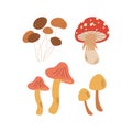 Mushrooms, toadstool. Hello autumn. Autumn season element, icon