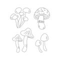 Mushrooms, toadstool. Hello autumn. Autumn season element, icon. Line art