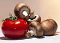 Mushrooms and tomato Royalty Free Stock Photo