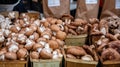 Mushrooms variety at an open air farmers market stall Royalty Free Stock Photo