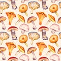 Mushrooms variety pattern on soft sepia background Royalty Free Stock Photo