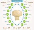 Mushrooms vector infographics.