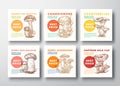 Mushrooms Vector Label Templates Collection. Hand Drawn Champignons, Chanterelles, etc. Sketches with Modern Typography