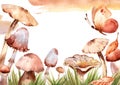 Mushrooms watercolor border frame, big mushroom with grass, butterfly, spongy mushroom vegetarian gourmet cuisine, Amanita
