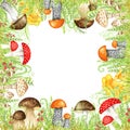 Mushrooms watercolor border frame, big mushroom with grass, spongy mushroom vegetarian gourmet cuisine, Amanita muscaria