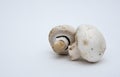 Mushrooms white backdrop