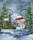Mushrooms on a winter meadow Royalty Free Stock Photo
