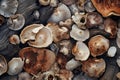 Mushrooms on wooden background, top view, close-up, Experience rich textures with macro photography, showcasing intricate patterns