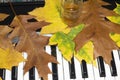 Music, autumn leaves and a glass of wine. Royalty Free Stock Photo