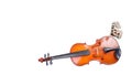 Music concept. bright apollo butterfly on a beautiful violin isolated on white. apollo - god of art. copy space Royalty Free Stock Photo