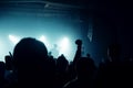 Music concert crowd, people enjoying live rock performance