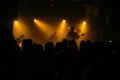 Music concert crowd, people enjoying live rock performance