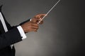 Music Conductor Hands Holding Baton Royalty Free Stock Photo