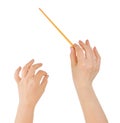 Music conductor hands Royalty Free Stock Photo