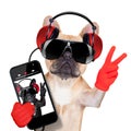 Music dog Royalty Free Stock Photo