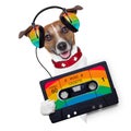 Music dog Royalty Free Stock Photo