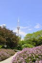 Music garden Toronto