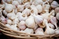 Garlic bulbs wicker basket Royalty Free Stock Photo