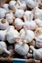 Garlic bulbs wicker basket Royalty Free Stock Photo