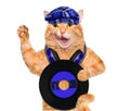 Music headphone vinyl record cat. Royalty Free Stock Photo