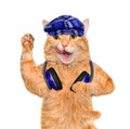 Music headphone vinyl record cat. Royalty Free Stock Photo