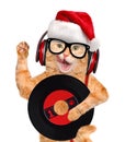 Music headphone vinyl record cat. Royalty Free Stock Photo