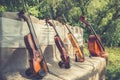 Music Instruments In Nature