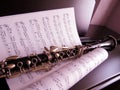 Music Lessons on the Clarinet Royalty Free Stock Photo
