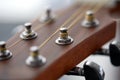 close up of acoustic guitar head with pegs Royalty Free Stock Photo