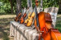 Music Instruments In Nature