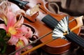 Music and nature. violin and flowers. beautiful butterfly sitting on a bow