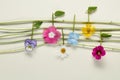 Music notes of flowers Royalty Free Stock Photo