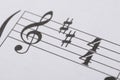 Music notes score background Royalty Free Stock Photo