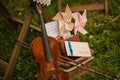 Music notes and violin close up Royalty Free Stock Photo